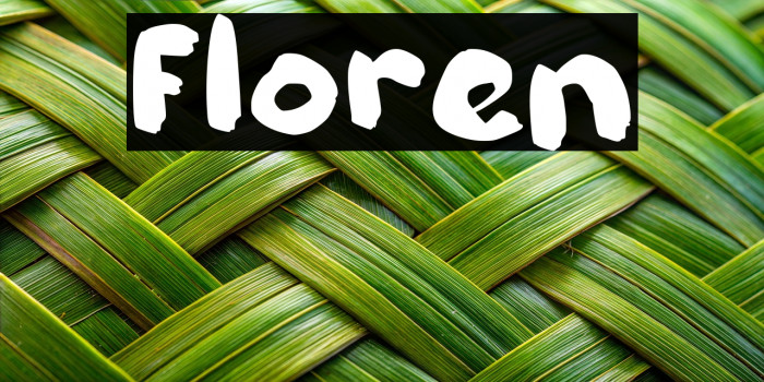 Floren Example 2