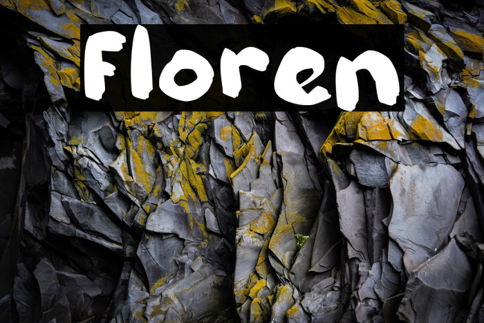 Floren Example 3
