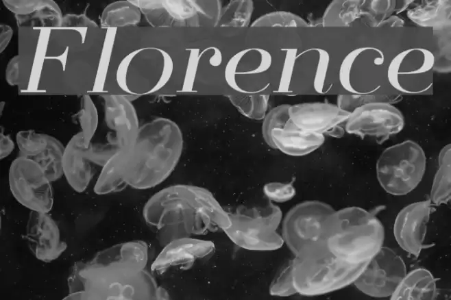 Florence Font examples