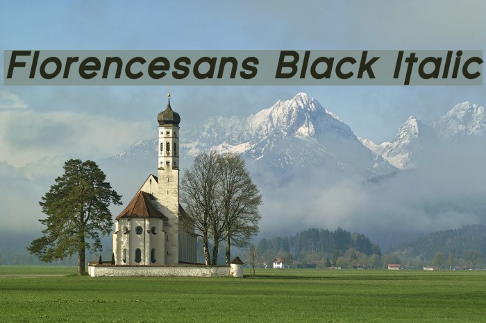 Florencesans Black Italic Font examples