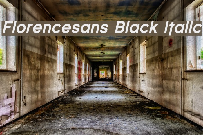 Florencesans Black Italic Font examples