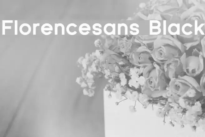 Florencesans Black Font examples