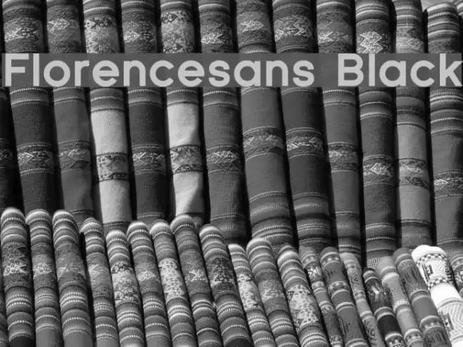 Florencesans Black Font examples