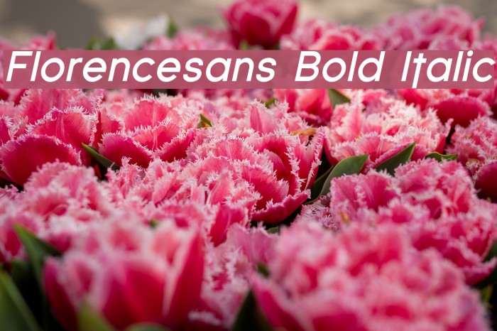 Florencesans Bold Italic Font examples