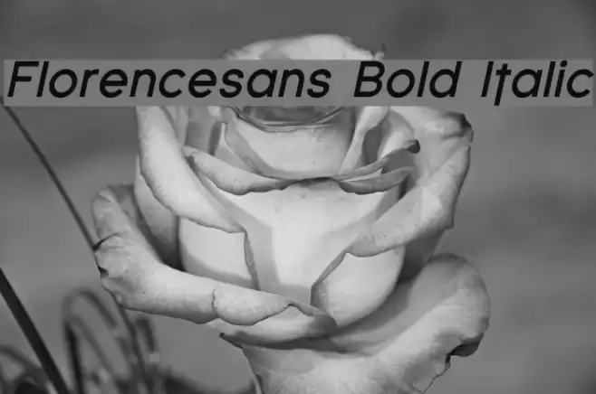 Florencesans Bold Italic Font examples