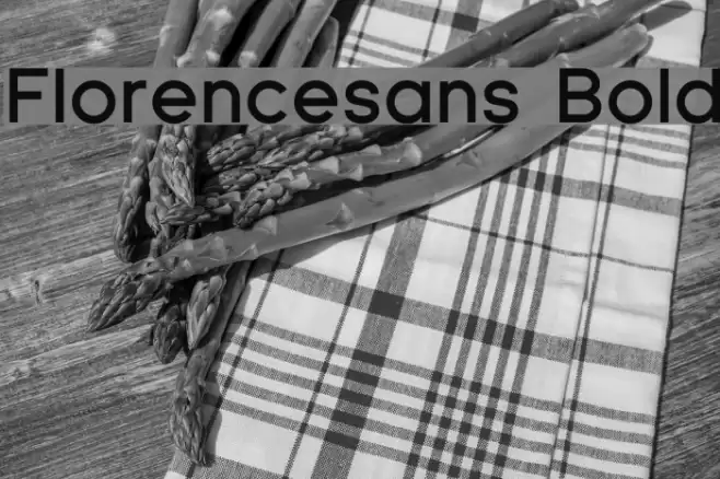 Florencesans Bold Font examples