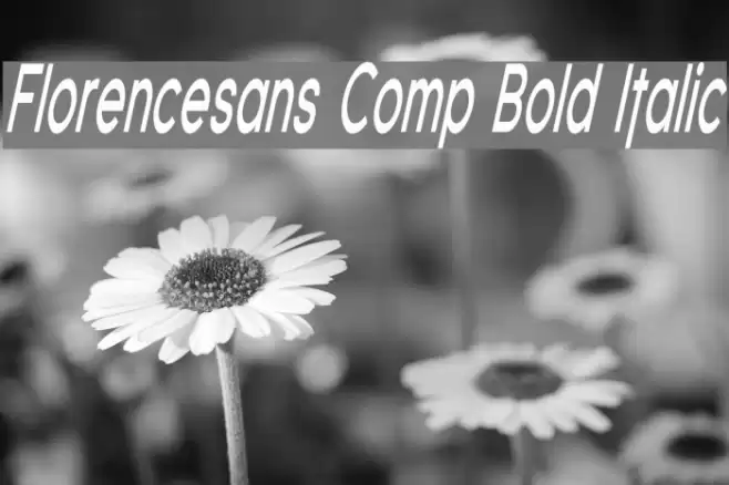 Florencesans Comp Bold Italic フォント examples