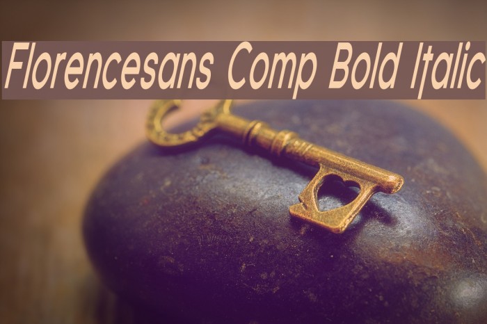 Florencesans Comp Bold Italic Font examples