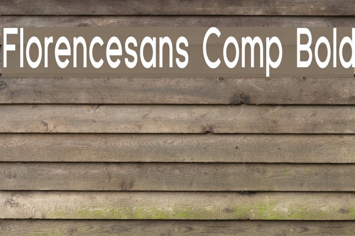 Florencesans Comp Bold Font examples