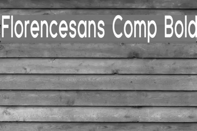Florencesans Comp Bold Font examples