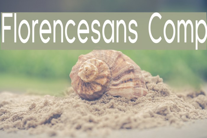 Florencesans Comp Font examples