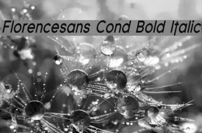 Florencesans Cond Bold Italic Font examples