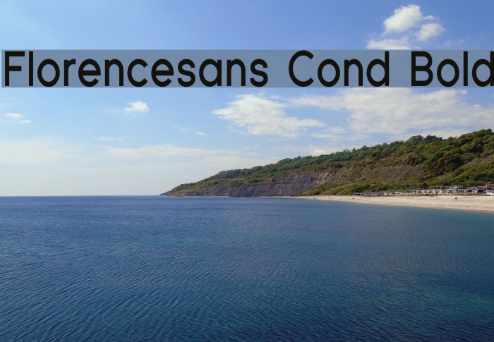 Florencesans Cond Bold Font examples