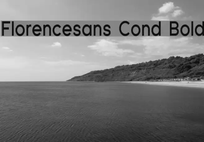 Florencesans Cond Bold Font examples