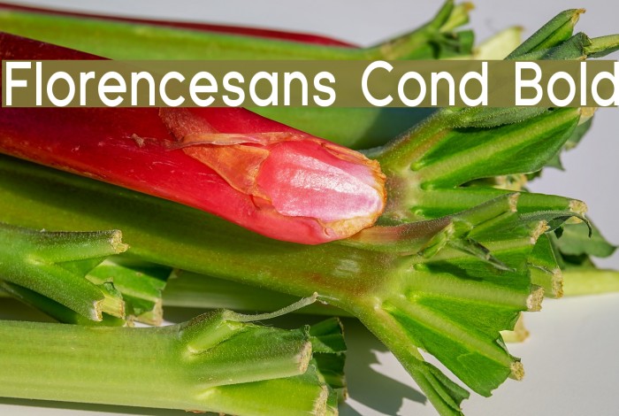 Florencesans Cond Bold Font examples