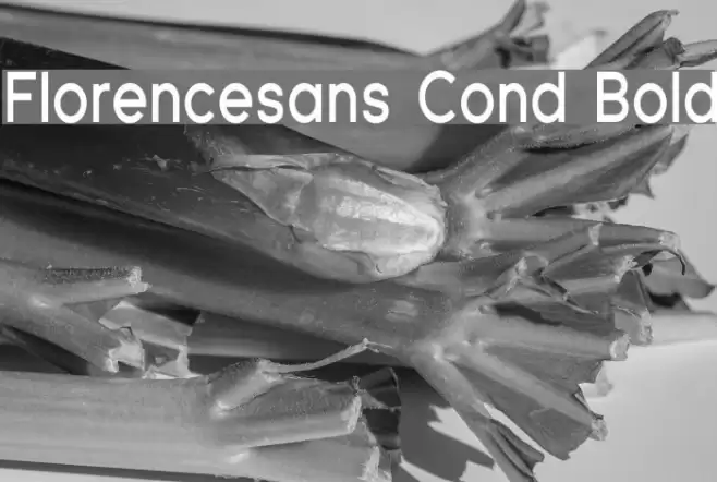 Florencesans Cond Bold Font examples
