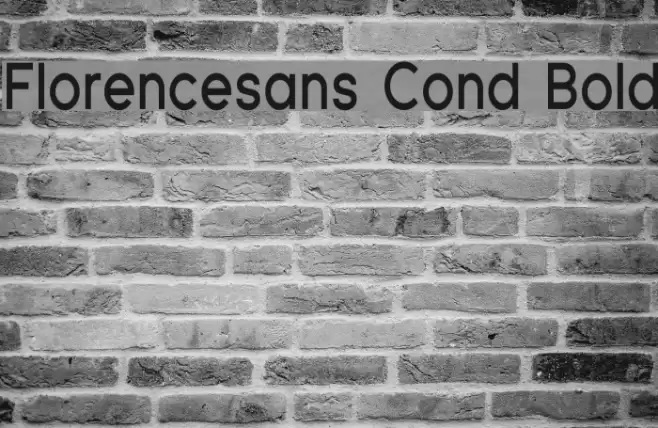 Florencesans Cond Bold Font examples
