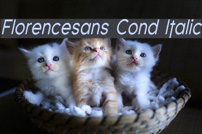 Florencesans Cond Italic Font examples