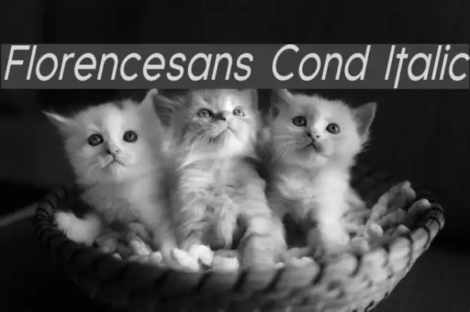 Florencesans Cond Italic Font examples