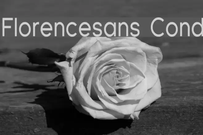 Florencesans Cond Fonte examples