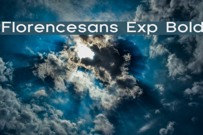 Florencesans Exp Bold Font examples