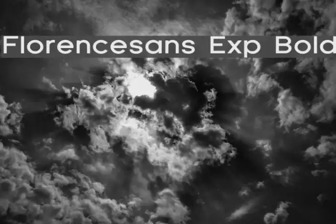 Florencesans Exp Bold フォント examples