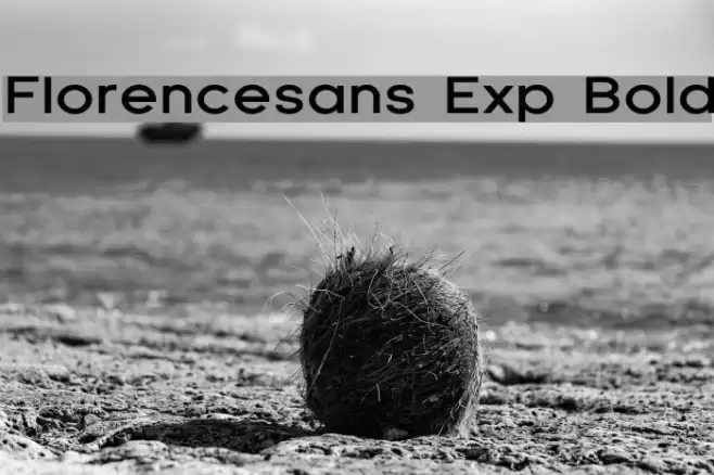 Florencesans Exp Bold フォント examples