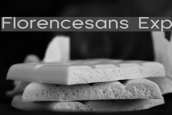 Florencesans Exp Fonte examples