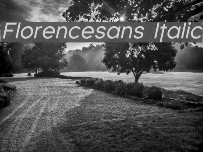 Florencesans Italic Fuentes examples