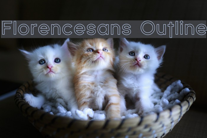 Florencesans Outline Font examples