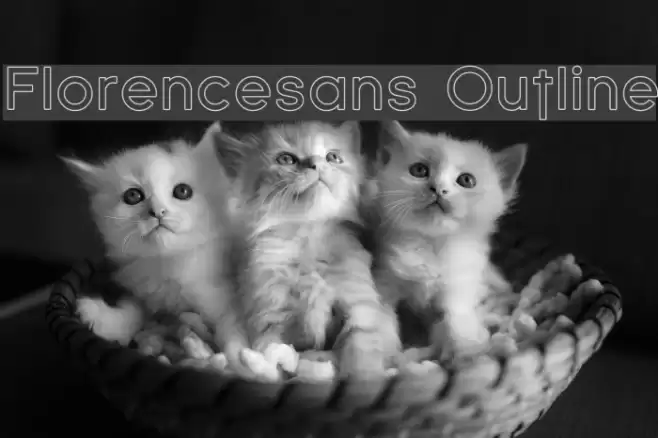 Florencesans Outline  examples