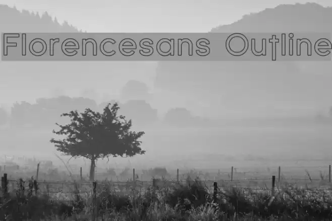 Florencesans Outline  examples