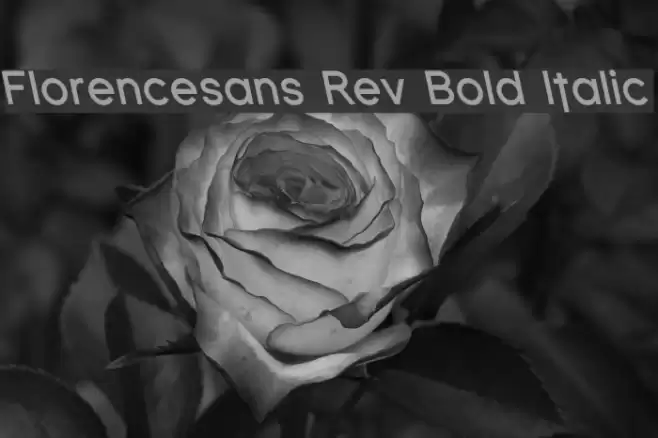 Florencesans Rev Bold Italic Schriftart examples