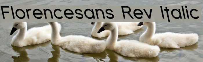Florencesans Rev Italic Font examples