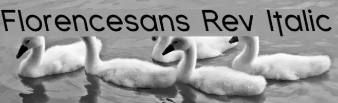 Florencesans Rev Italic Font examples