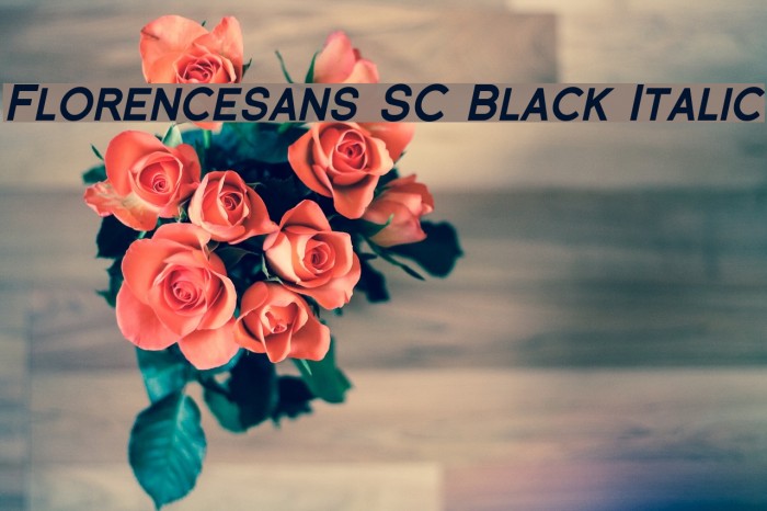 Florencesans SC Black Italic Fuentes examples