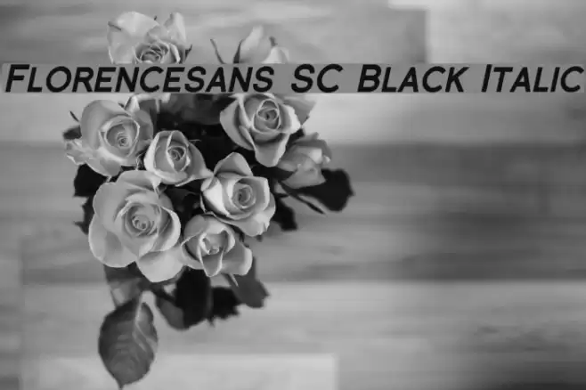 Florencesans SC Black Italic Шрифта examples
