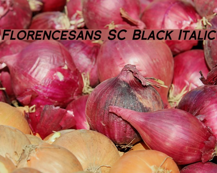 Florencesans SC Black Italic Fuentes examples