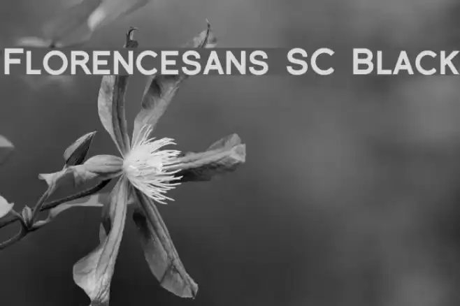 Florencesans SC Black フォント examples