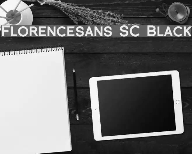 Florencesans SC Black フォント examples