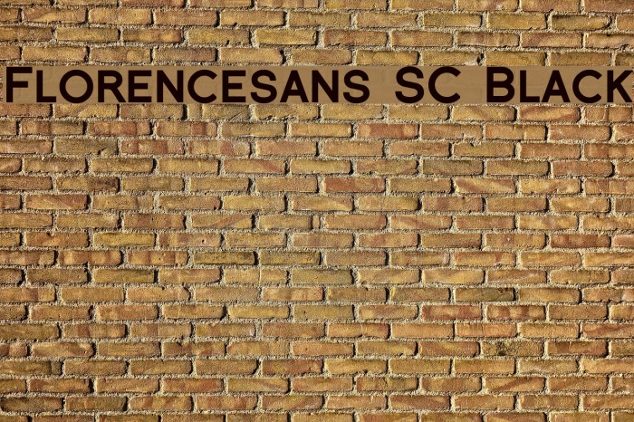 Florencesans SC Black フォント examples