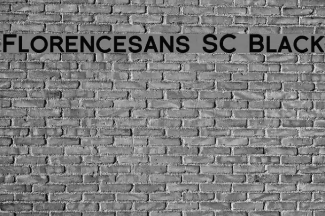 Florencesans SC Black フォント examples