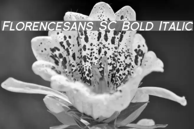 Florencesans SC Bold Italic Fonte examples