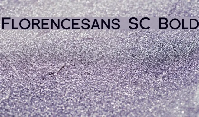 Florencesans SC Bold Example 3