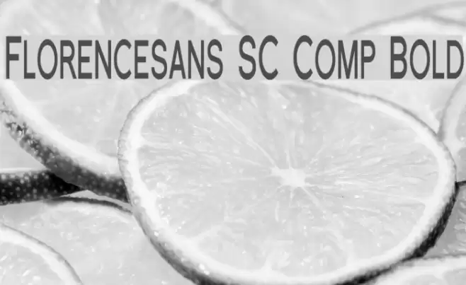 Florencesans SC Comp Bold Font examples