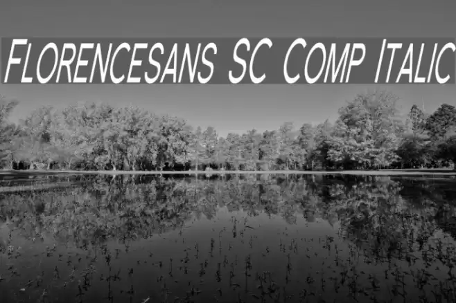 Florencesans SC Comp Italic Font examples