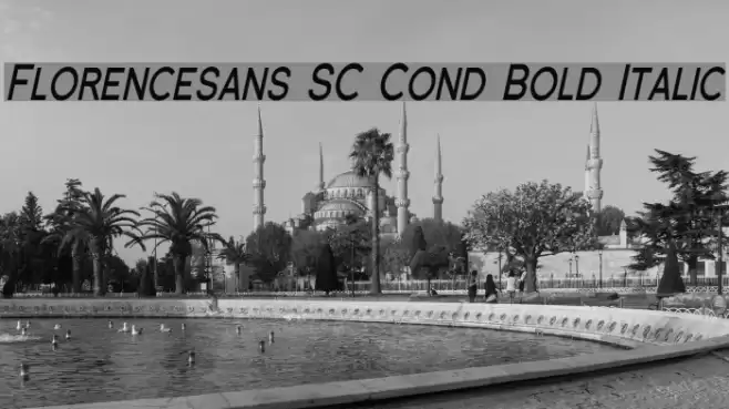 Florencesans SC Cond Bold Italic フォント examples