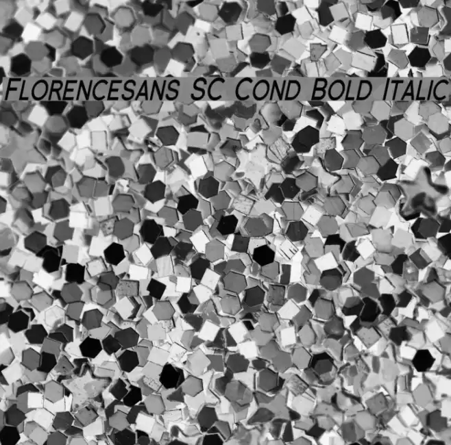 Florencesans SC Cond Bold Italic フォント examples