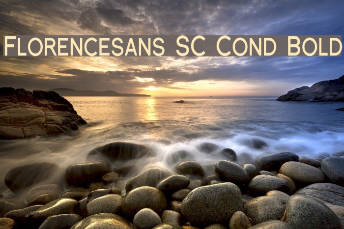 Florencesans SC Cond Bold Caratteri examples