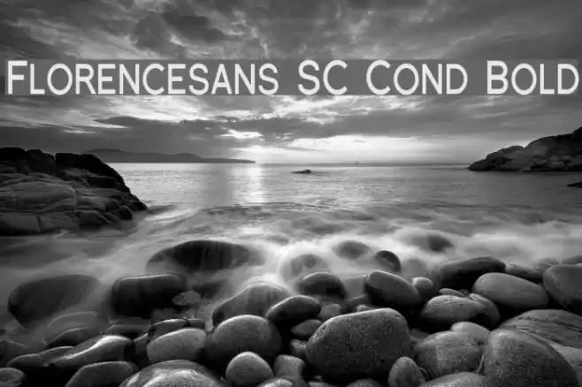 Florencesans SC Cond Bold フォント examples